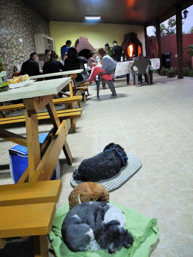 فندق Cazare Balliu كوربو المظهر الخارجي الصورة